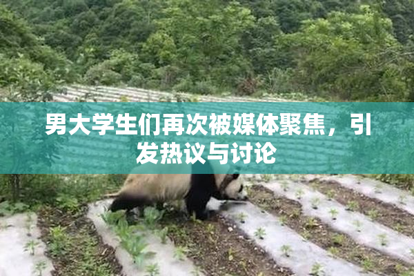 男大学生们再次被媒体聚焦，引发热议与讨论