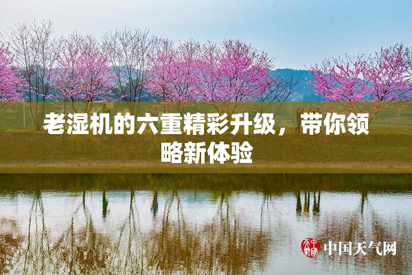 老湿机的六重精彩升级，带你领略新体验