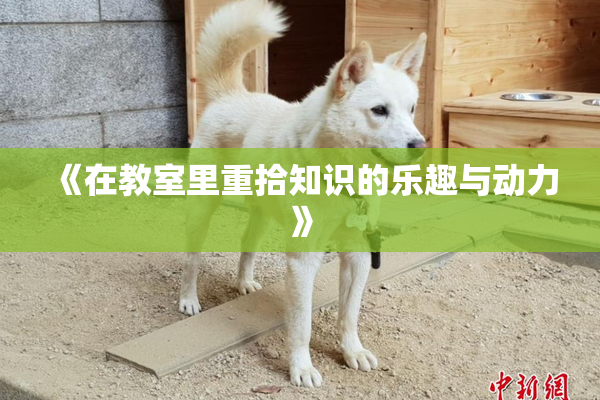 《在教室里重拾知识的乐趣与动力》