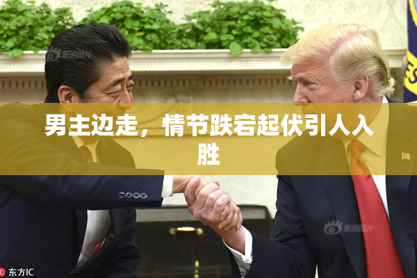 男主边走，情节跌宕起伏引人入胜