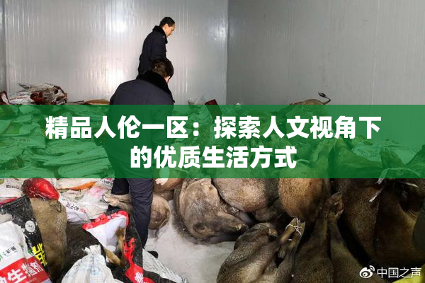 精品人伦一区：探索人文视角下的优质生活方式