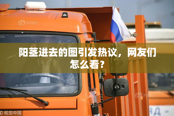阳茎进去的图引发热议，网友们怎么看？