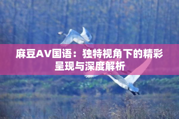 麻豆A∨国语：独特视角下的精彩呈现与深度解析