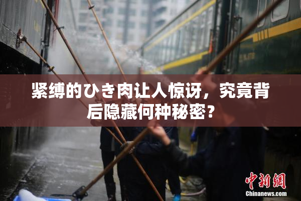 紧缚的ひき肉让人惊讶，究竟背后隐藏何种秘密？