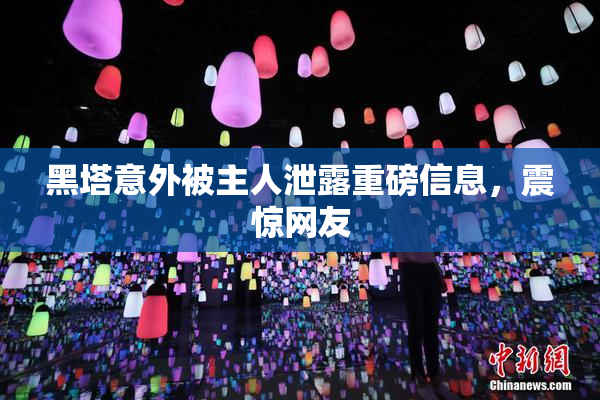 黑塔意外被主人泄露重磅信息，震惊网友
