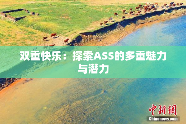 双重快乐：探索ASS的多重魅力与潜力