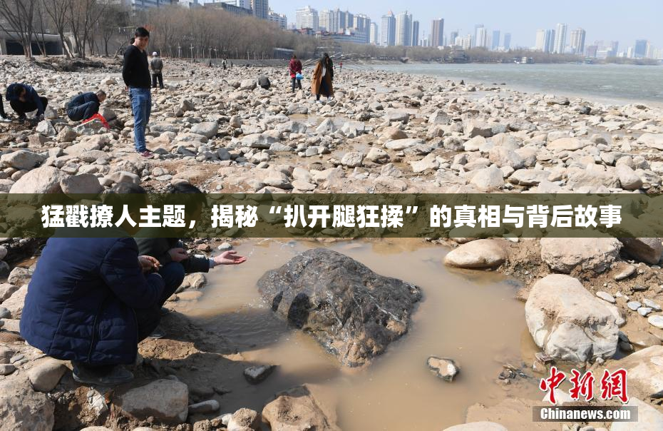 猛戳撩人主题，揭秘“扒开腿狂揉”的真相与背后故事
