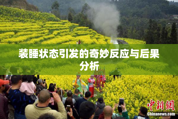 装睡状态引发的奇妙反应与后果分析
