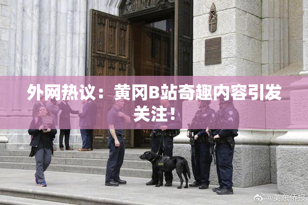 外网热议：黄冈B站奇趣内容引发关注！