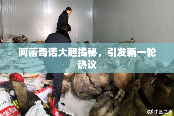 阿蕾奇诺大胆揭秘，引发新一轮热议