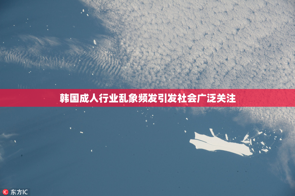 韩国成人行业乱象频发引发社会广泛关注