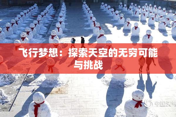 飞行梦想：探索天空的无穷可能与挑战