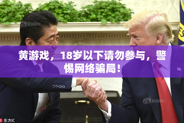 黄游戏，18岁以下请勿参与，警惕网络骗局！