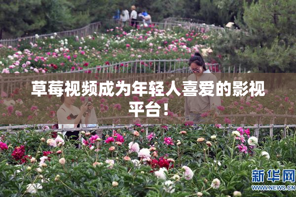 草莓视频成为年轻人喜爱的影视平台！