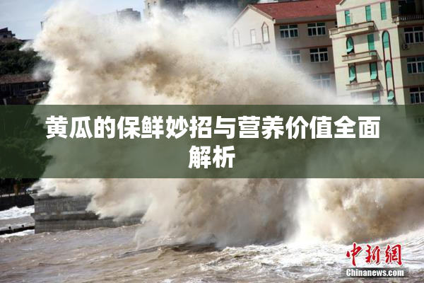 黄瓜的保鲜妙招与营养价值全面解析