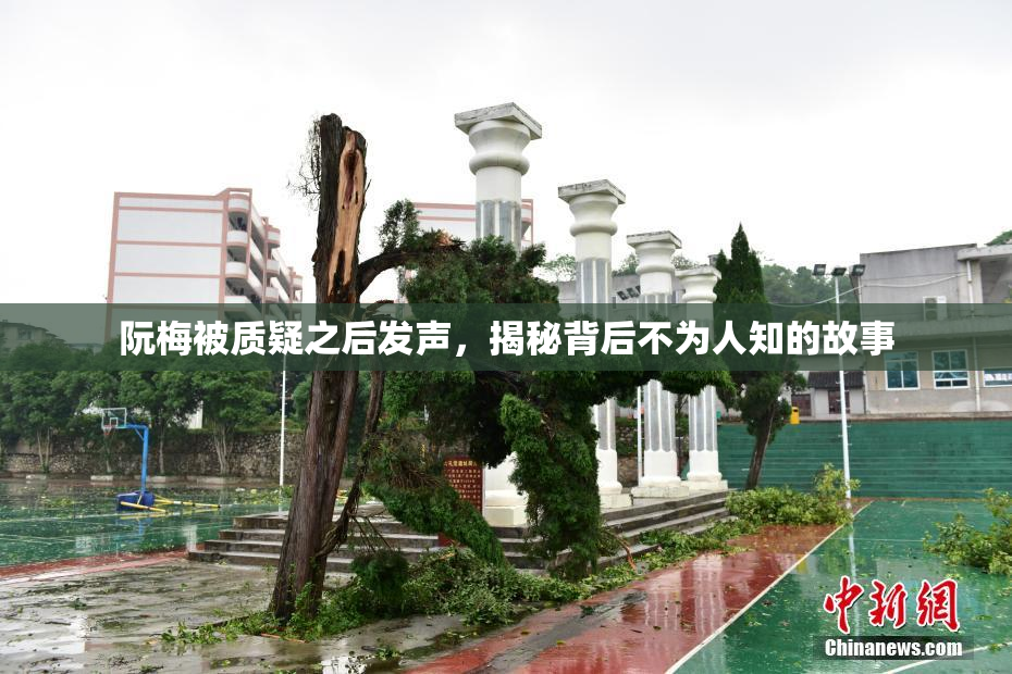阮梅被质疑之后发声，揭秘背后不为人知的故事
