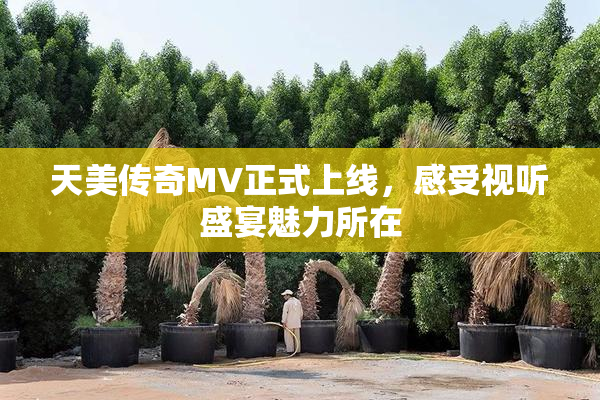 天美传奇MV正式上线，感受视听盛宴魅力所在