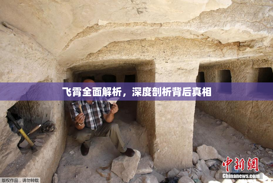 飞霄全面解析，深度剖析背后真相