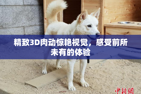 精致3D肉动惊艳视觉，感受前所未有的体验