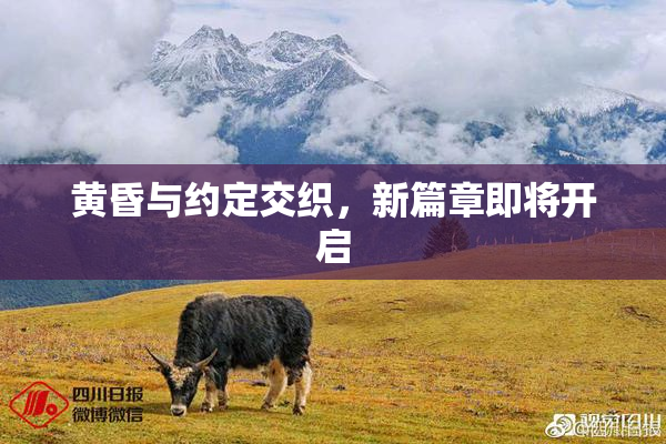 黄昏与约定交织，新篇章即将开启