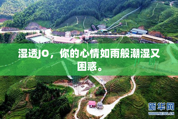 湿透JO，你的心情如雨般潮湿又困惑。