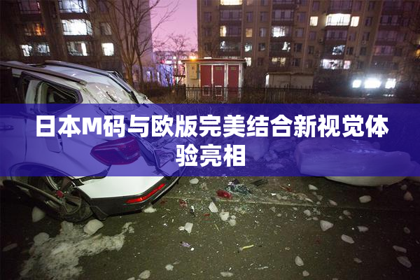 日本M码与欧版完美结合新视觉体验亮相