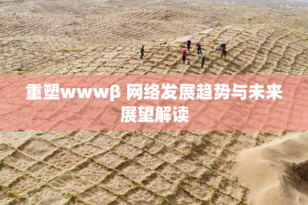 重塑wwwβ 网络发展趋势与未来展望解读