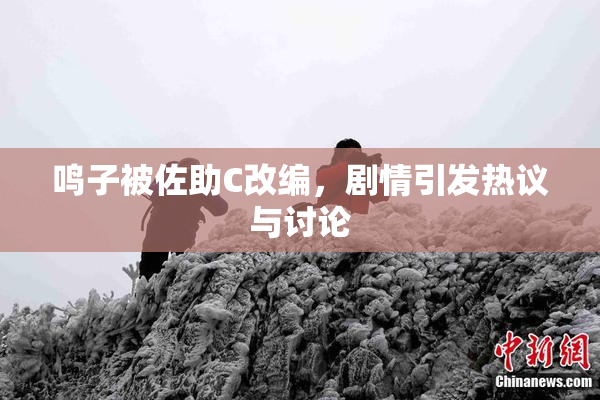 鸣子被佐助C改编，剧情引发热议与讨论