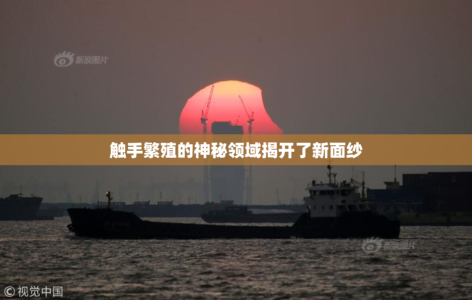 触手繁殖的神秘领域揭开了新面纱