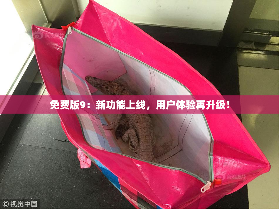 免费版9：新功能上线，用户体验再升级！