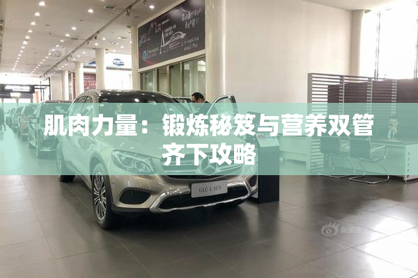 肌肉力量：锻炼秘笈与营养双管齐下攻略