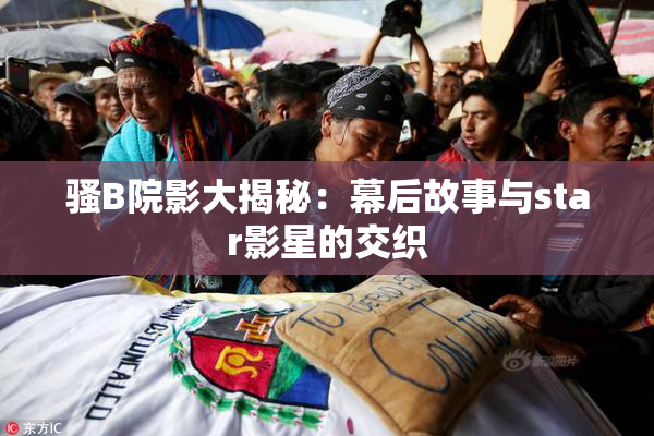 骚B院影大揭秘：幕后故事与star影星的交织