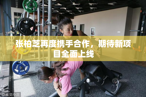 张柏芝再度携手合作，期待新项目全面上线