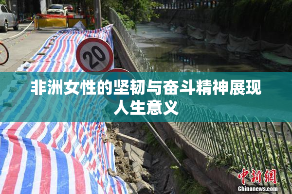 非洲女性的坚韧与奋斗精神展现人生意义