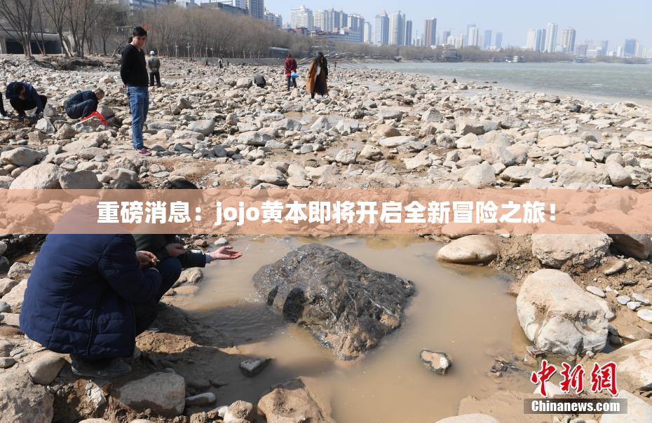 重磅消息：jojo黄本即将开启全新冒险之旅！