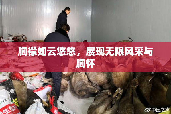 胸襟如云悠悠，展现无限风采与胸怀