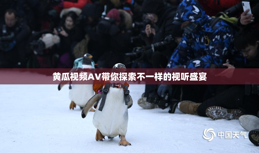 黄瓜视频AV带你探索不一样的视听盛宴