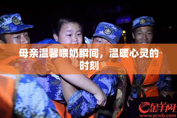 母亲温馨喂奶瞬间，温暖心灵的时刻