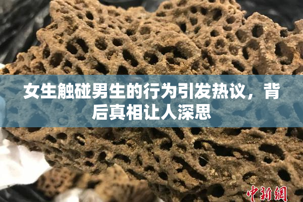 女生触碰男生的行为引发热议，背后真相让人深思