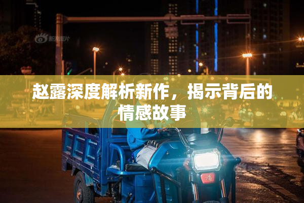 赵露深度解析新作，揭示背后的情感故事