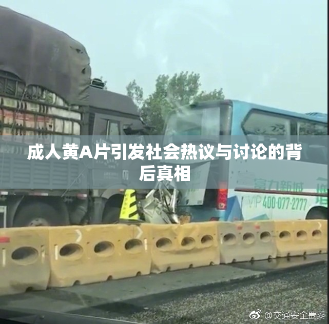 成人黄A片引发社会热议与讨论的背后真相