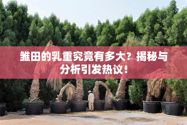 雏田的乳重究竟有多大？揭秘与分析引发热议！