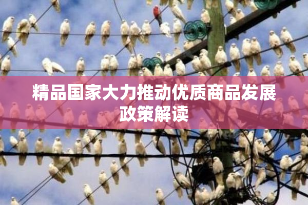 精品国家大力推动优质商品发展政策解读