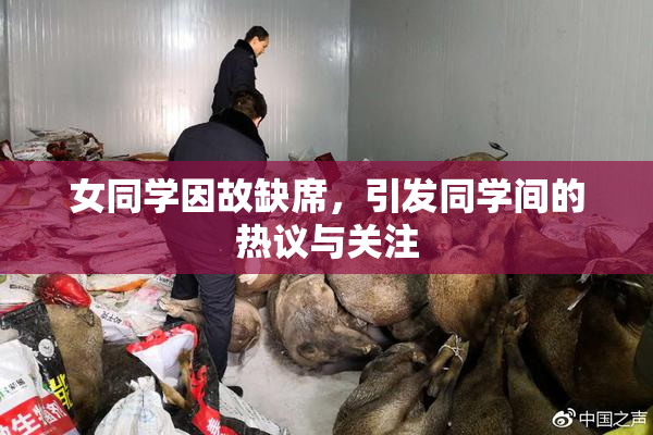 女同学因故缺席，引发同学间的热议与关注