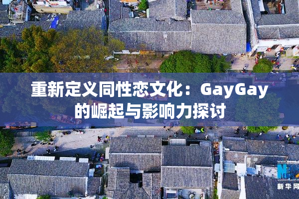重新定义同性恋文化：GayGay的崛起与影响力探讨