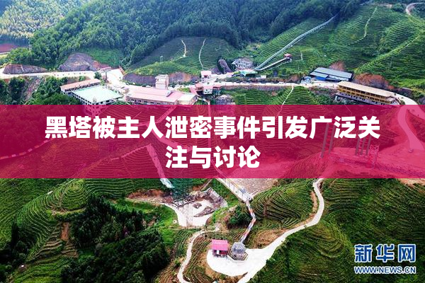 黑塔被主人泄密事件引发广泛关注与讨论