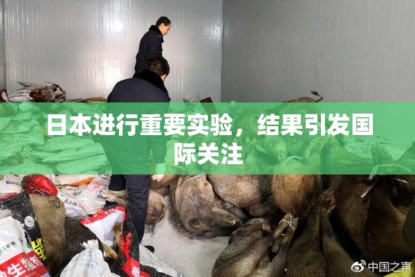 日本进行重要实验，结果引发国际关注