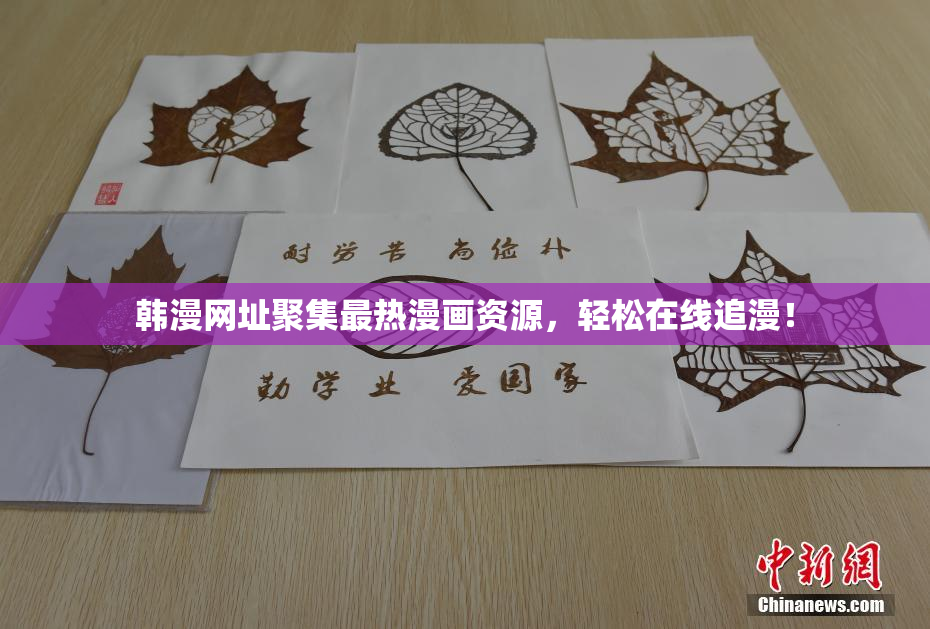 韩漫网址聚集最热漫画资源，轻松在线追漫！