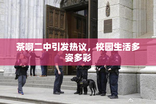 茶啊二中引发热议，校园生活多姿多彩