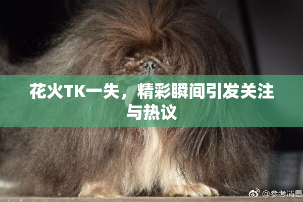 花火TK一失，精彩瞬间引发关注与热议